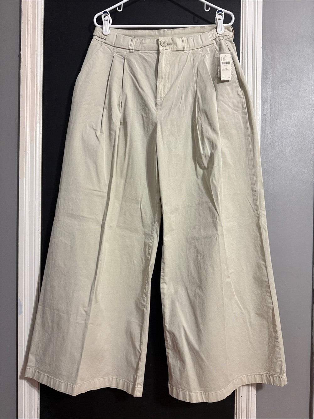 Anthropologie Pleated High Rise Wide Leg Pants Size: 10Tall